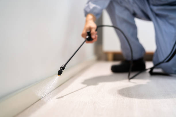 Licensed Cockroach Control service in Oakland Park, FL - Nex Pest Control