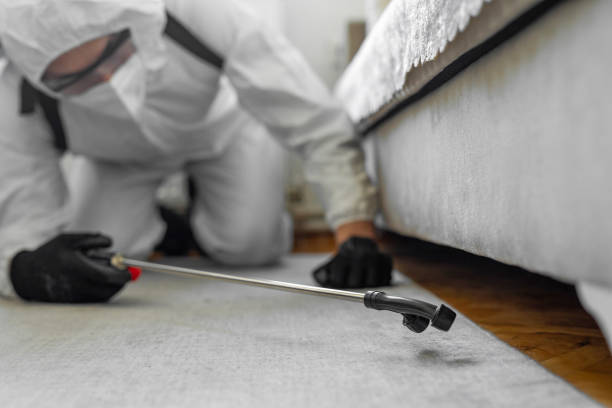 Professional Cockroach Control technician working in Oakland Park, FL