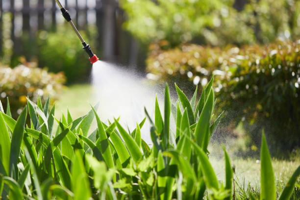 24/7 Emergency Cockroach Control experts in Oakland Park, FL