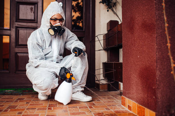 Reliable Cockroach Control contractor in Oakland Park, FL by Nex Pest Control